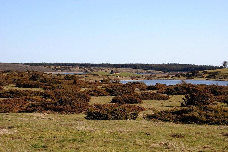 Hedelandets Camping Sevel Extérieur photo